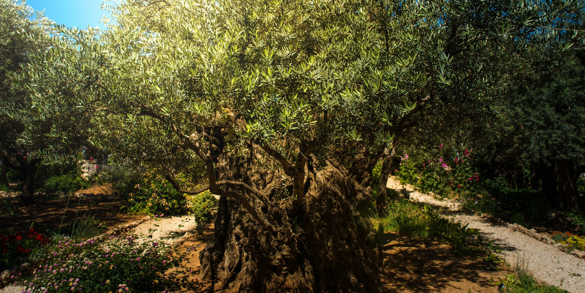 Listening with the Heart