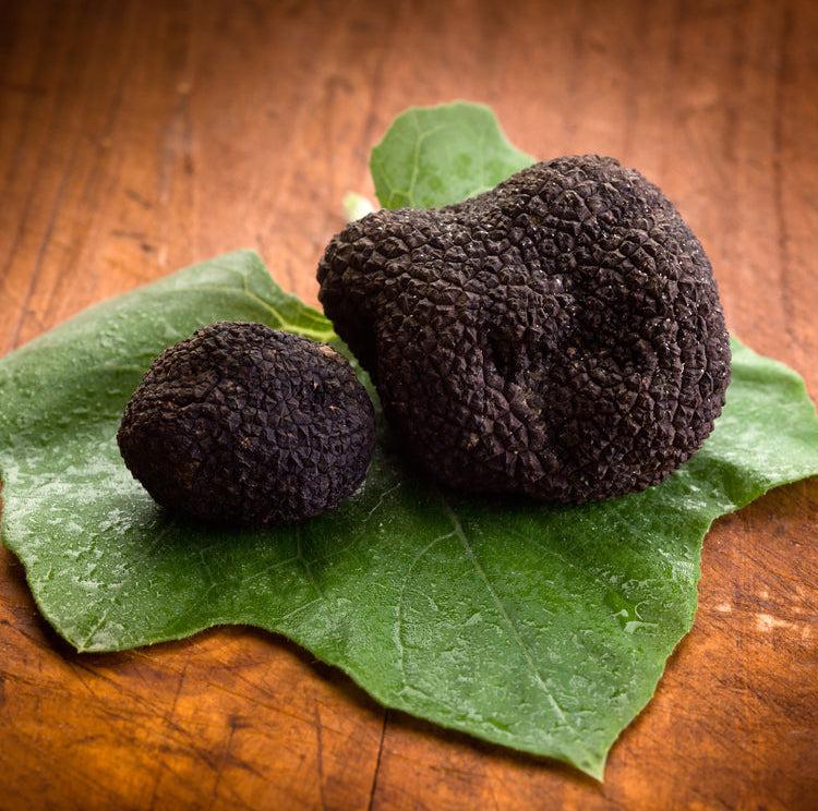 Divine Mercy Black Truffle Olive Oil