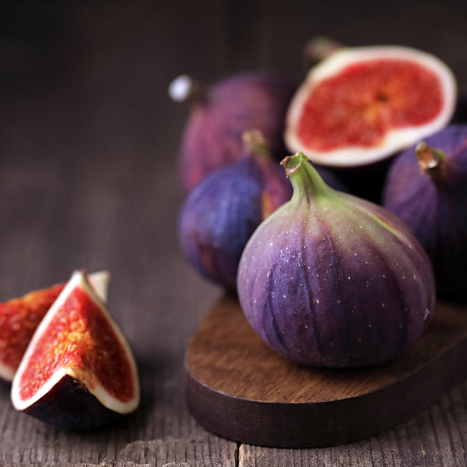 Eucharist Monstrance Fig Dark Balsamic