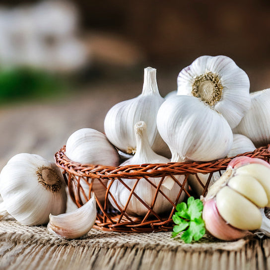 St. Benedict Garlic Olive Oil