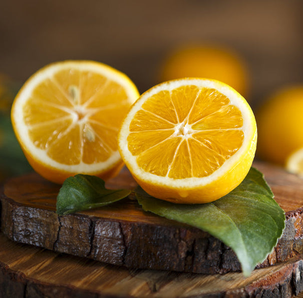 Mother Seton Meyer Lemon Olive Oil